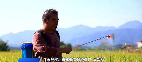 私自造烟的村子_农村发烟_小村子造20年假烟