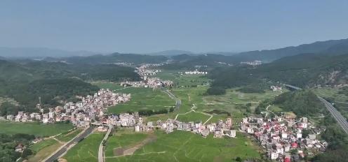 私自造烟的村子_小村子造20年假烟_农村发烟