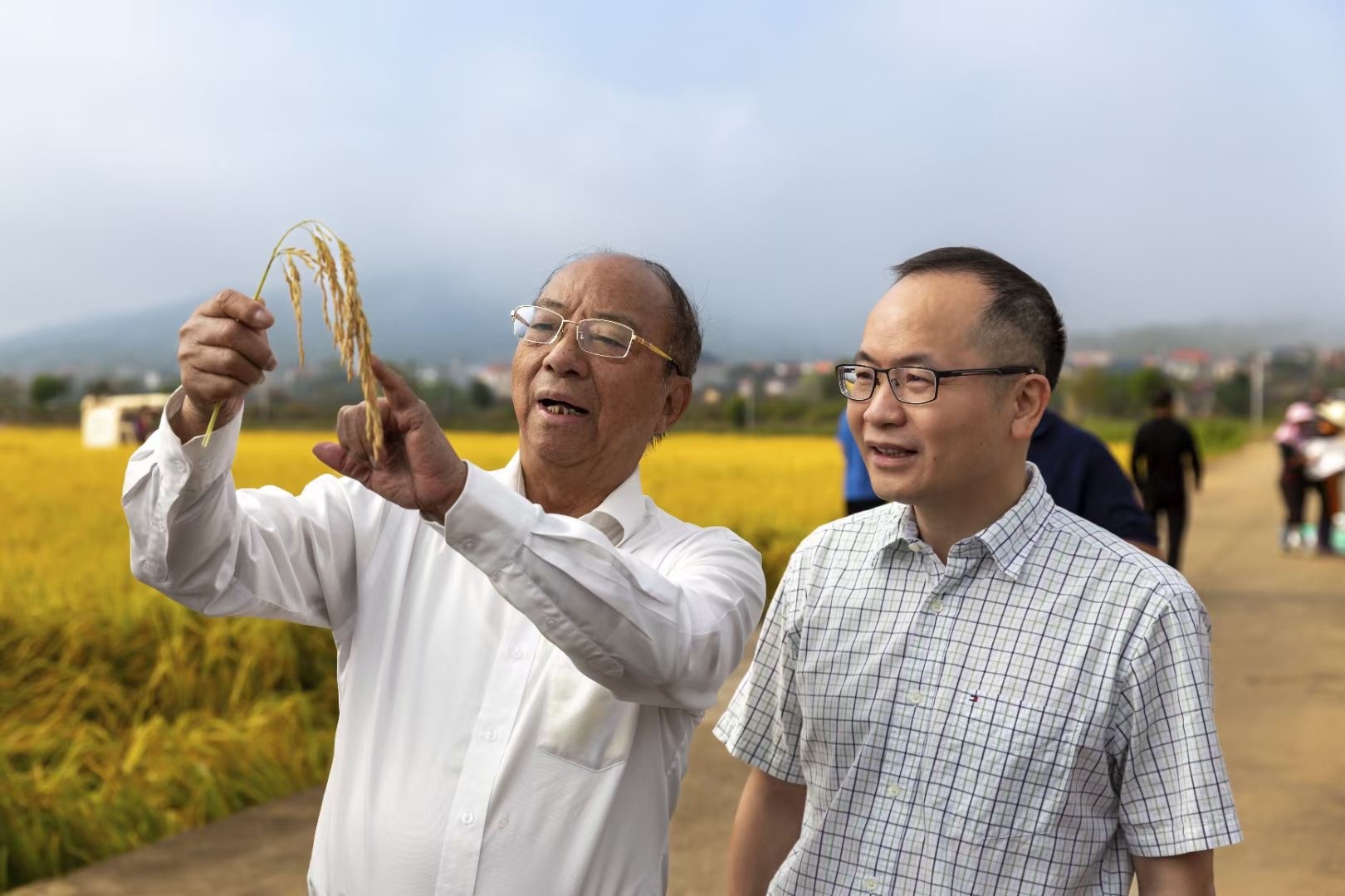 小村子造20年假烟_私自造烟的村子_农村发烟