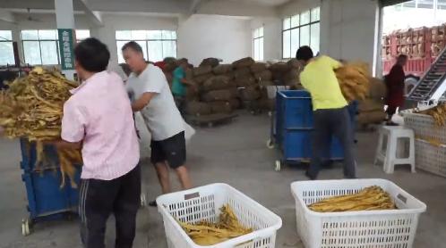 农村发烟_私自造烟的村子_小村子造20年假烟