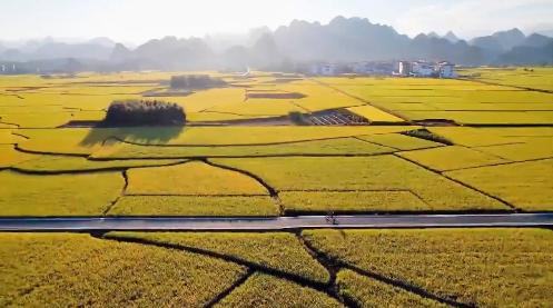 小村子造20年假烟_私自造烟的村子_农村发烟
