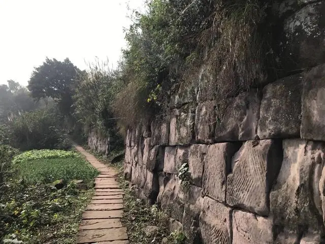 农村让烟的规矩_私自造烟的村子_农村发烟