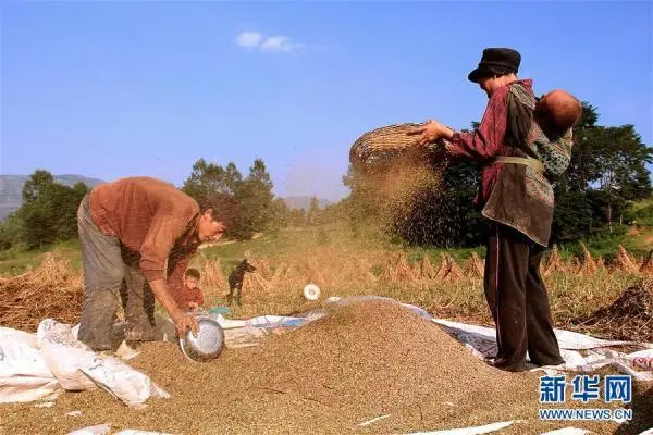 私自造烟的村子_小村子造20年假烟_农村发烟