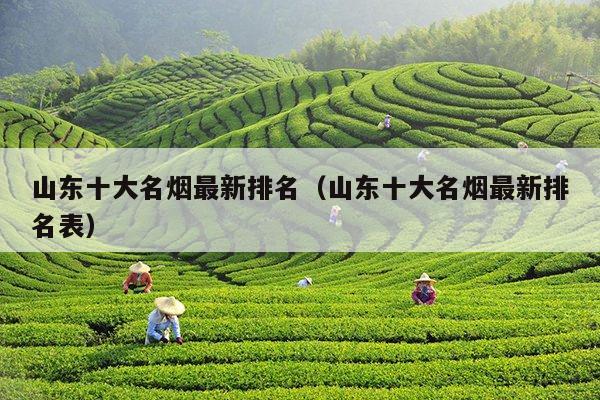 山东十大名烟最新排名（山东十大名烟最新排名表） 第1张