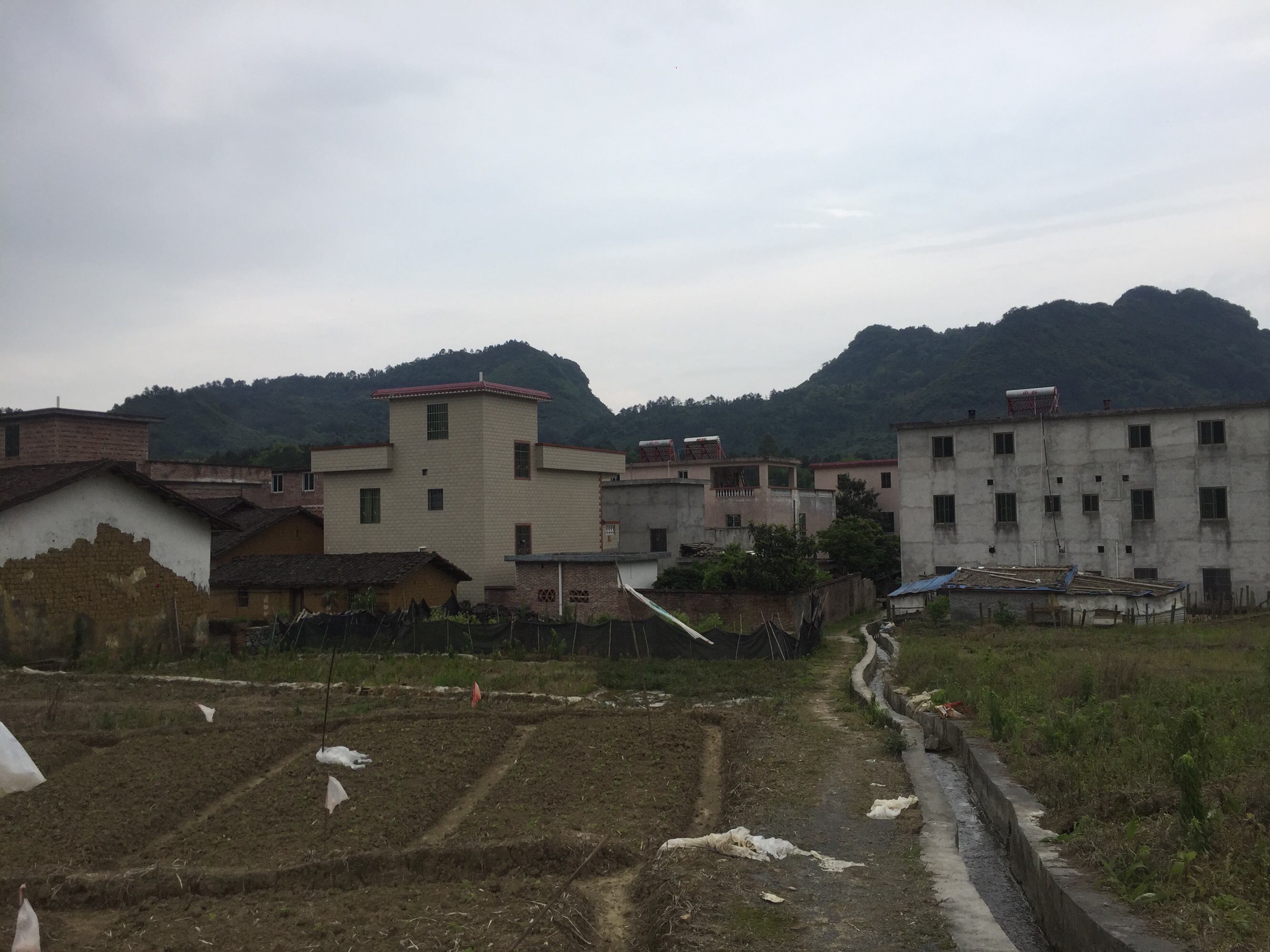 农村让烟的规矩_农村发烟_私自造烟的村子