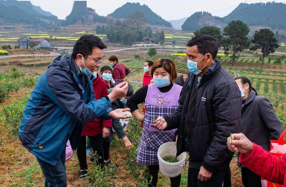 农村让烟的规矩_私自造烟的村子_农村发烟