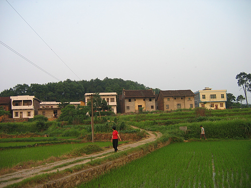 农村让烟的规矩_私自造烟的村子_农村发烟