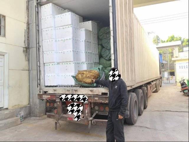 中华假烟村庄_中华假香烟_中华假烟村