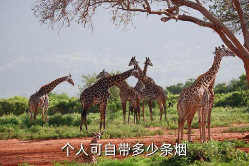 个人可自带多少条烟