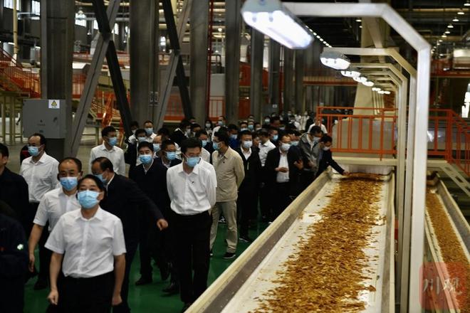 云霄烟_云霄烟_云霄烟