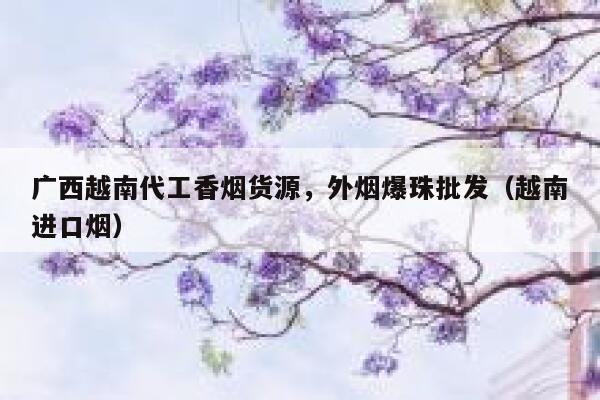 广西越南代工香烟货源，外烟爆珠批发（越南进口烟）