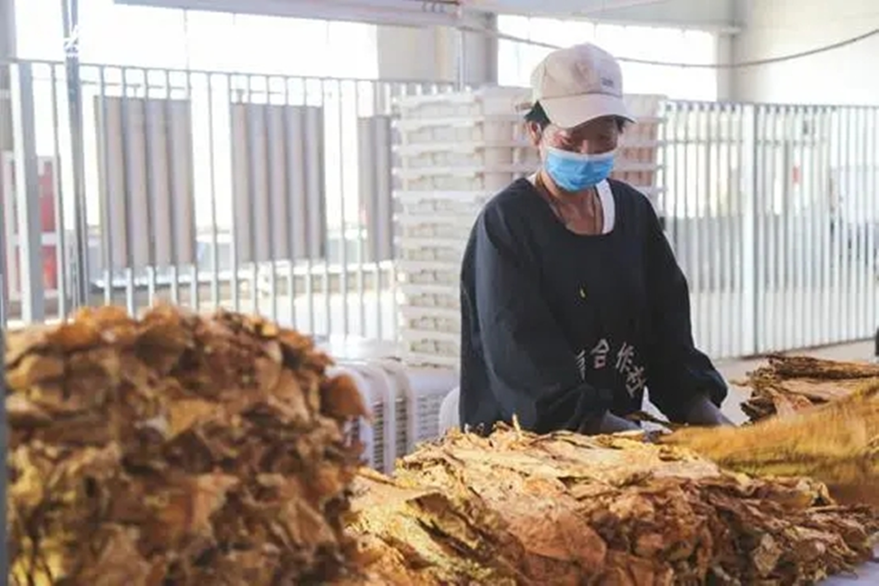 云霄香烟_香烟云霄货和船货什么区别_香烟云霄货是什么意思