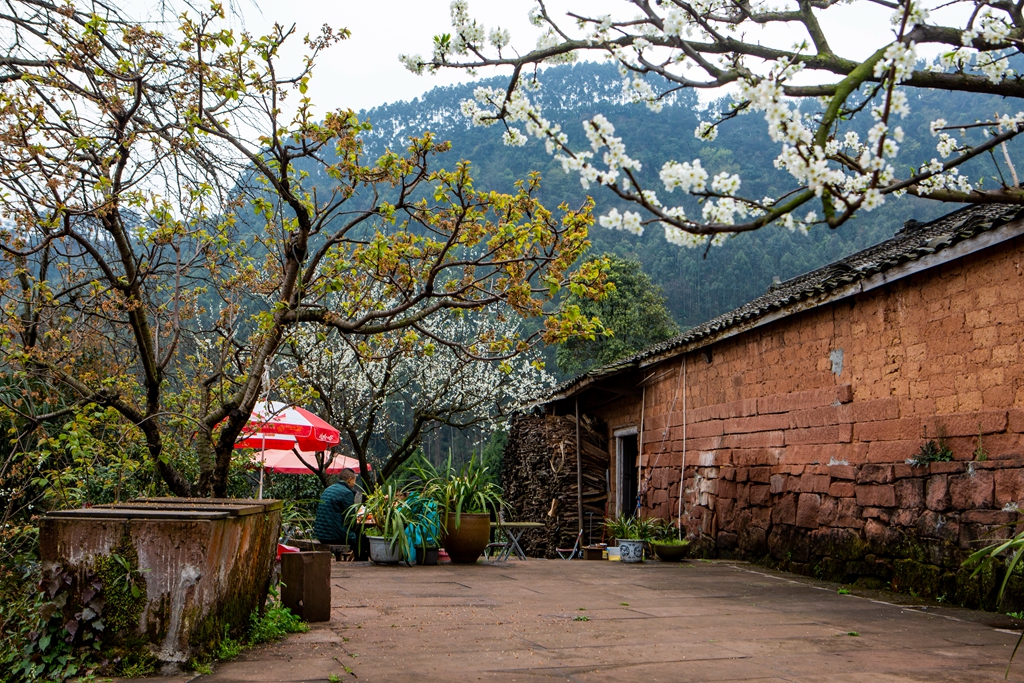 小村子造20年假烟_农村发烟_私自造烟的村子