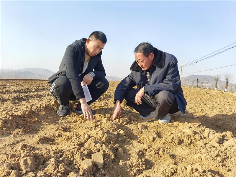 小村子造20年假烟_私自造烟的村子_农村让烟的规矩