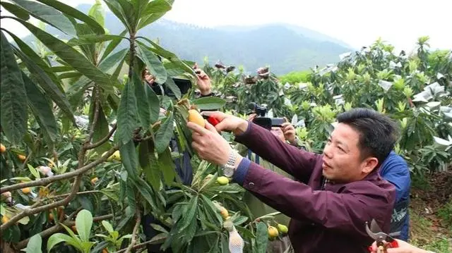 福建云霄县属于哪个市_福建云霄假香烟到底能不能抽_福建云霄