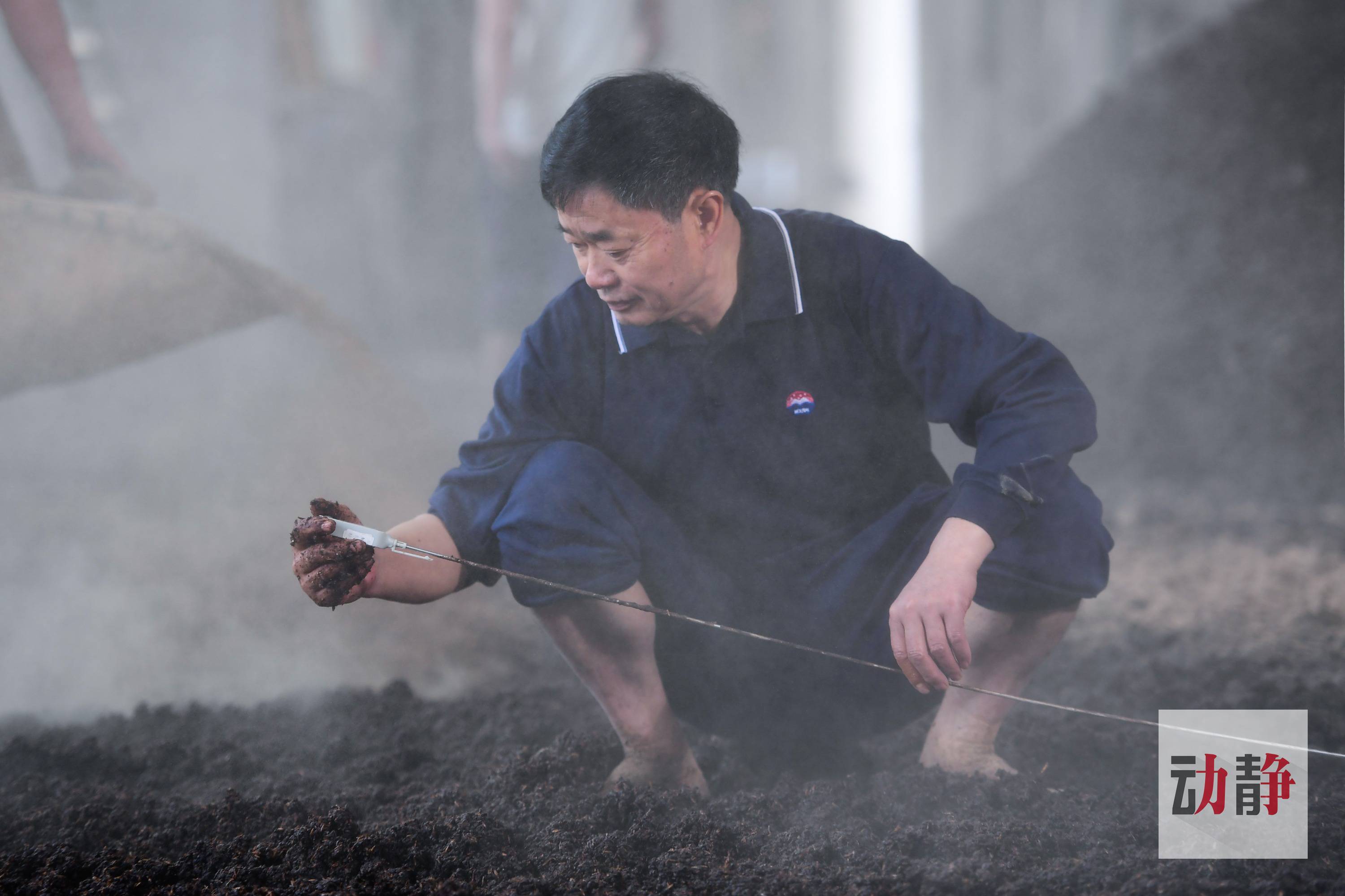 贵州茅台镇荷花酒和荷花烟_贵州茅台镇荷花酒和荷花烟_贵州茅台镇荷花酒和荷花烟
