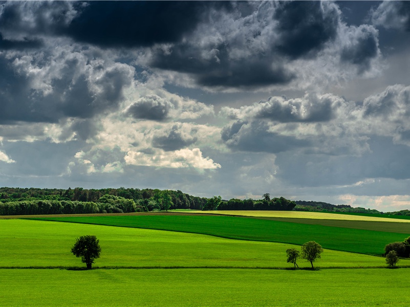 国内十大动漫网站