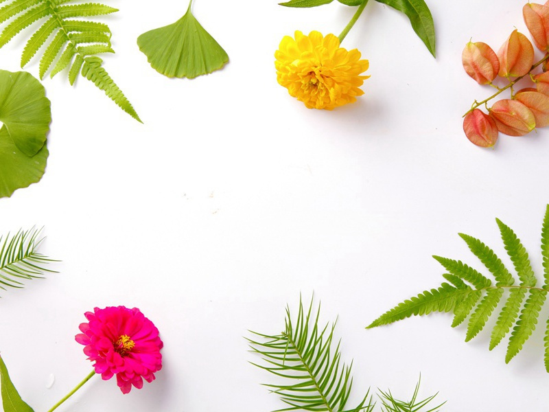 中国十大最快的计算机