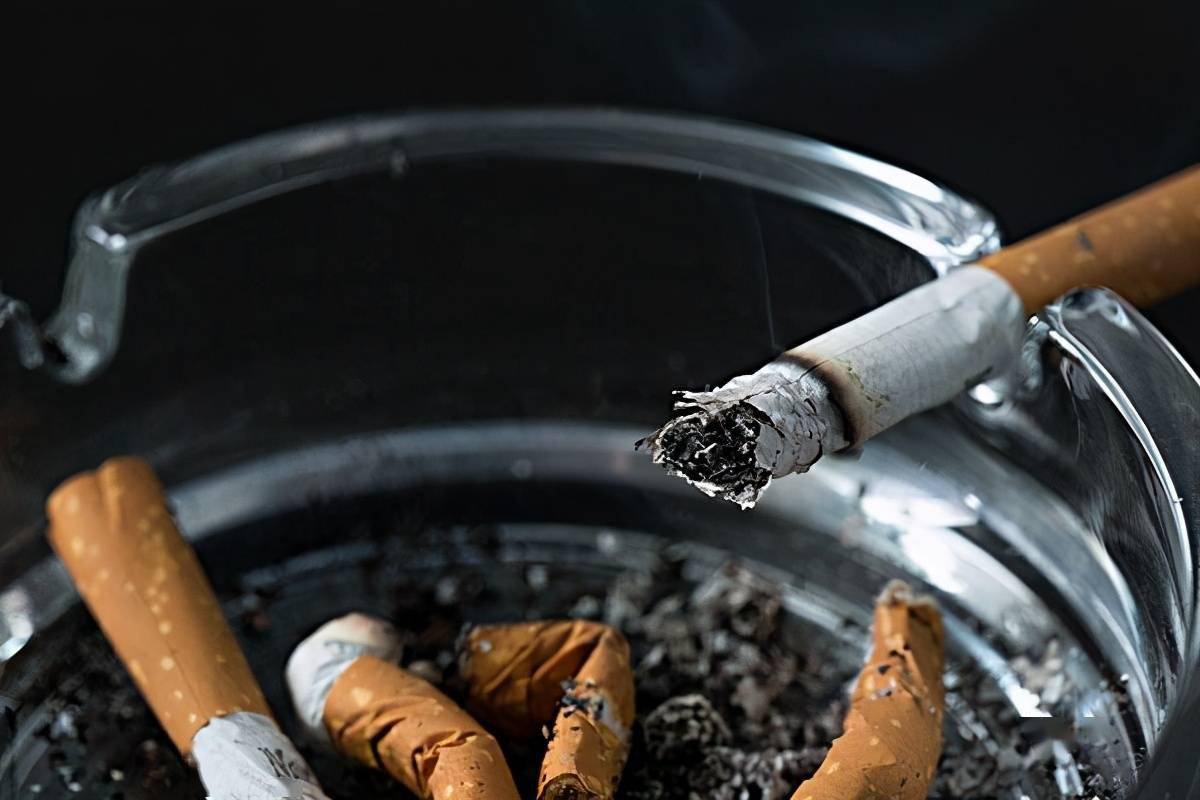 私自造烟的村子_农村让烟的规矩_小村子造20年假烟