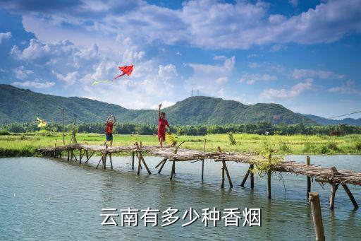 云南有多少种香烟
