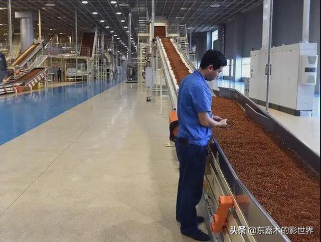 小县城造假烟20年,垄断欧美市场,销量上千亿,中华烟瑟瑟发抖?