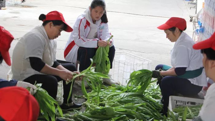 福建云霄县属于哪个市_福建云霄香烟_福建云霄