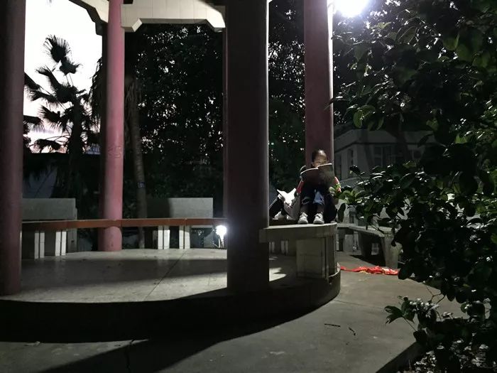 福建云霄香烟_福建云霄_福建云霄县属于哪个市