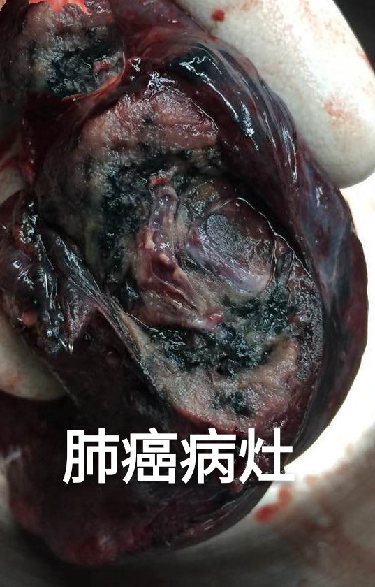 一手香烟货源正品批发_香烟一手_一手香烟货源批发