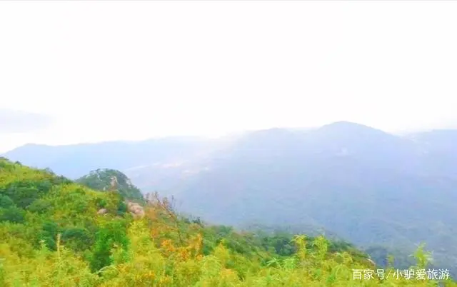 福建云霄假香烟到底能不能抽_福建云霄香烟_福建云霄