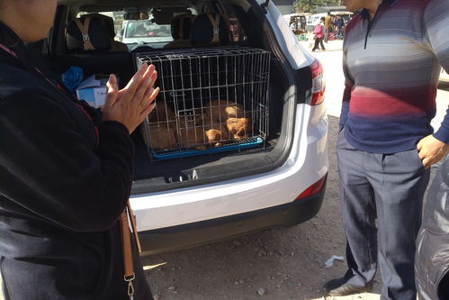 香烟批发一手货源市场