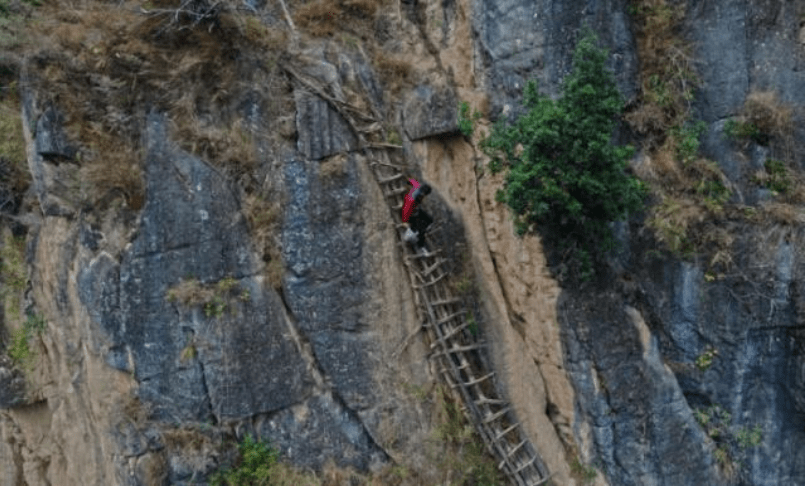 f1造雾者电子烟吧酒吧怎么样_造烟机器全套多少钱_私自造烟的村子