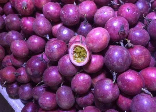 云霄卷烟厂生产什么牌_现在云霄卷烟厂生产正品烟了吗_云霄香烟厂家直销