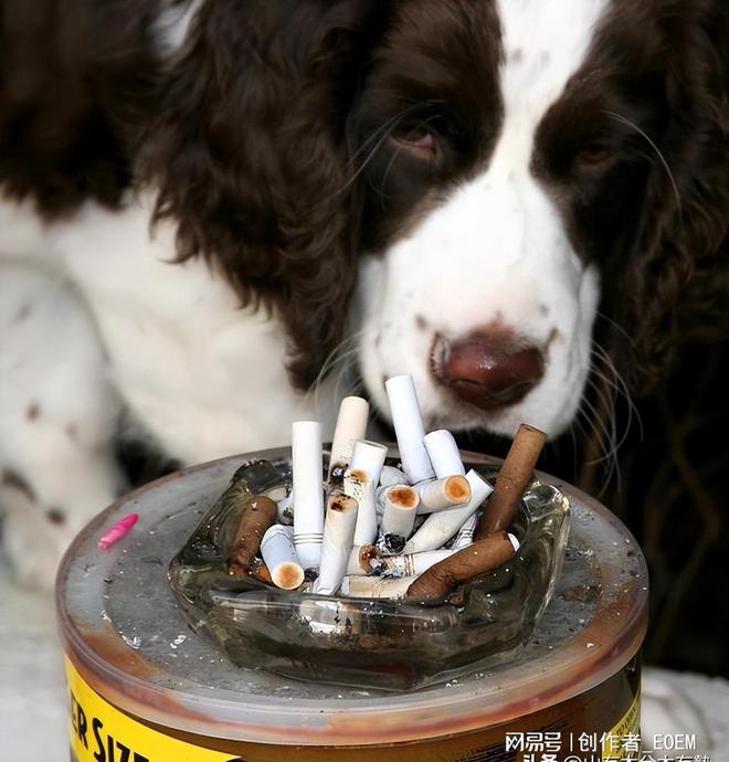 一手香烟批发厂家_一手香烟货源_香烟一手