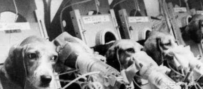 一手香烟批发厂家_一手香烟货源_香烟一手