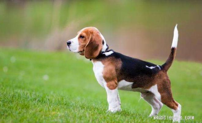 一手香烟批发厂家_香烟一手_一手香烟货源