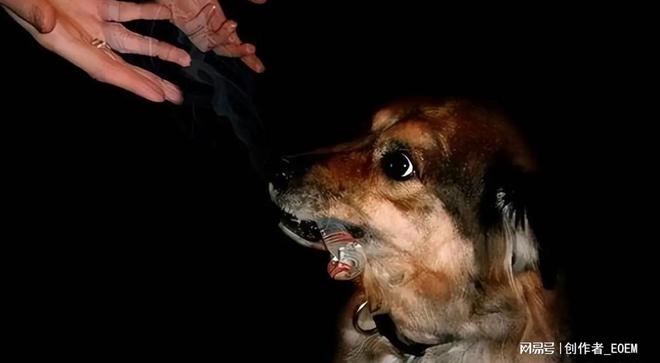 香烟一手_一手香烟货源_一手香烟批发厂家