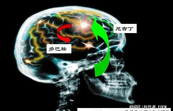 一手香烟货源_一手香烟批发厂家_香烟一手