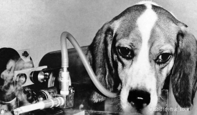 一手香烟批发厂家_一手香烟货源_香烟一手