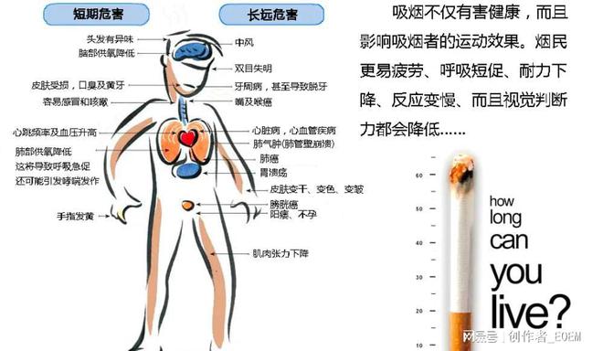 一手香烟批发厂家_香烟一手_一手香烟货源
