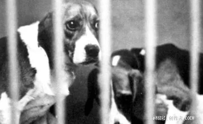 一手香烟货源_香烟一手_一手香烟批发厂家