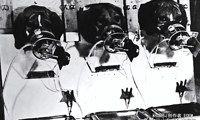 一手香烟批发厂家_一手香烟货源_香烟一手