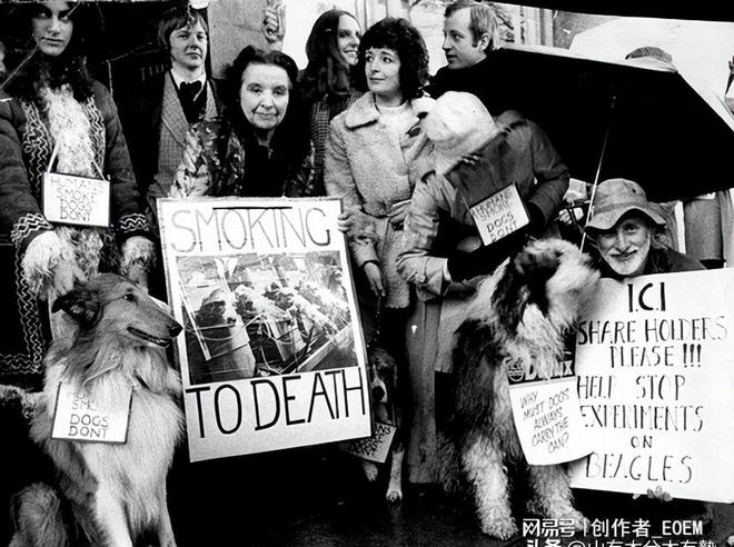 香烟一手_一手香烟货源_一手香烟批发厂家