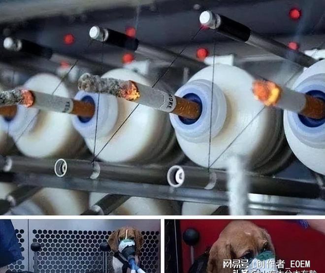 一手香烟货源_一手香烟批发厂家_香烟一手