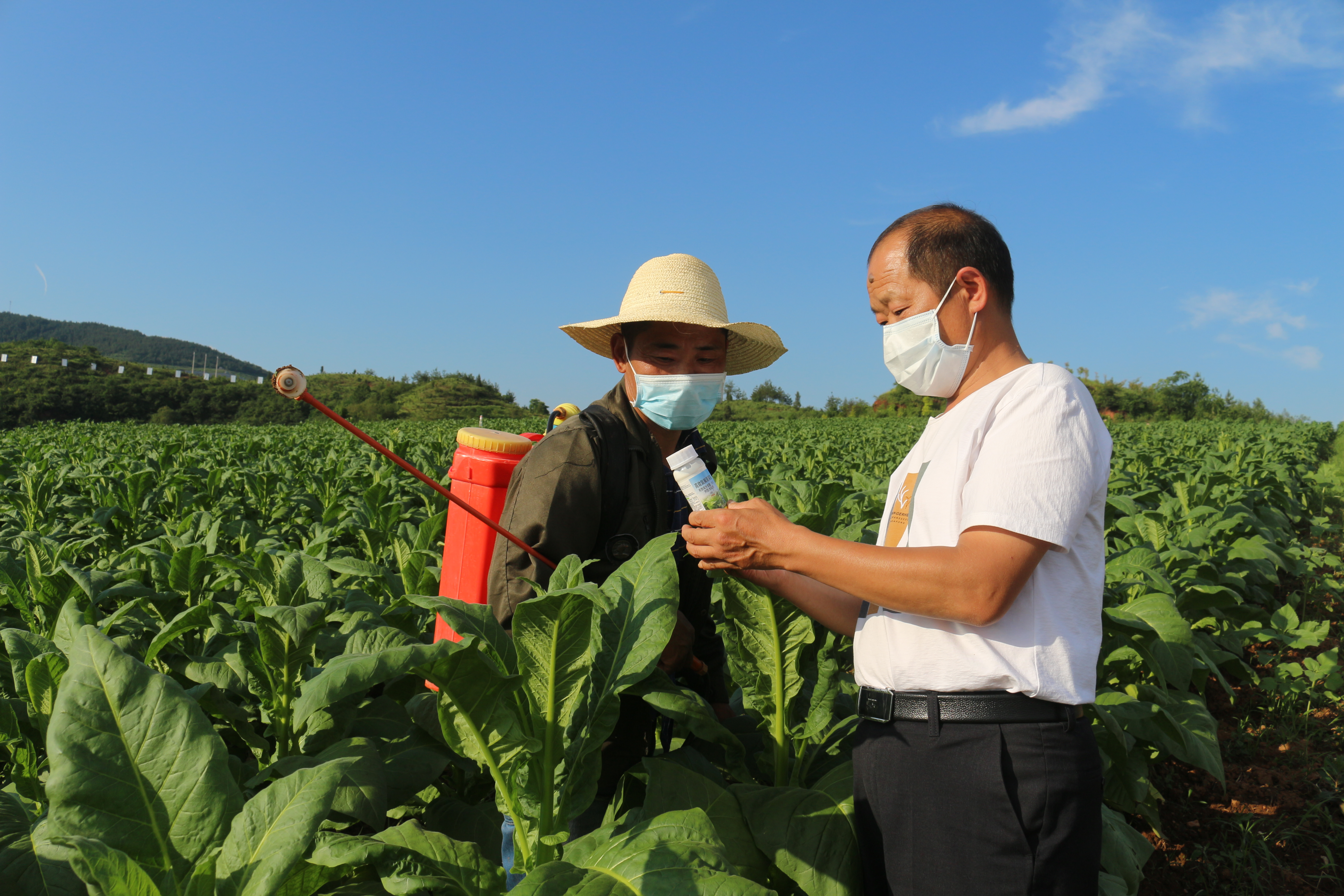 私自造烟的村子_小村子造20年假烟_农村让烟的规矩