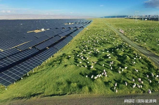 越南烟是真的假的_越南烟为什么这么便宜_越南烟