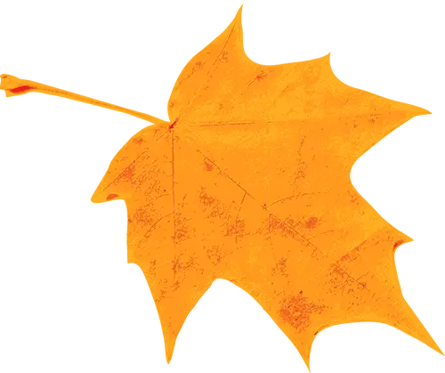 私自造烟的村子_农村发烟_农村让烟的规矩