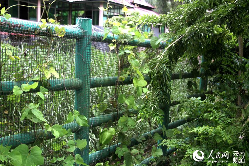 私自造烟的村子_农村发烟_农村让烟的规矩