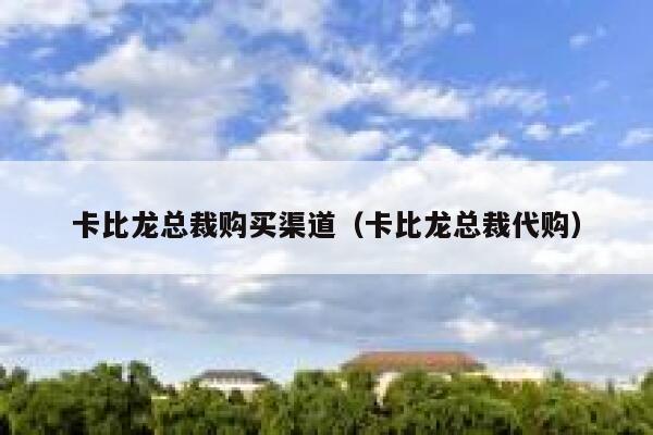 卡比龙总裁购买渠道（卡比龙总裁代购）