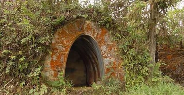 越南烟香烟价格表图_越南烟是真的假的_越南烟