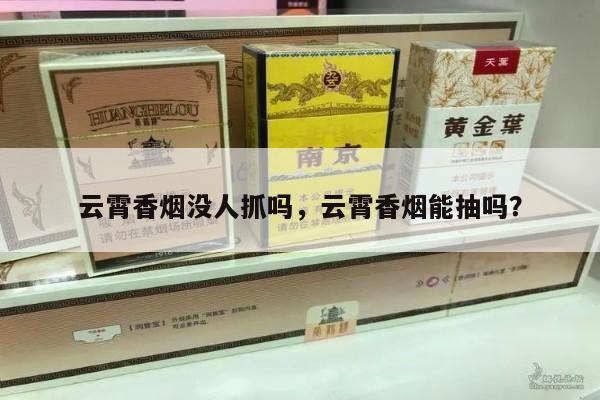 云霄香烟没人抓吗,云霄香烟能抽吗?-第3张图片-香烟批发平台